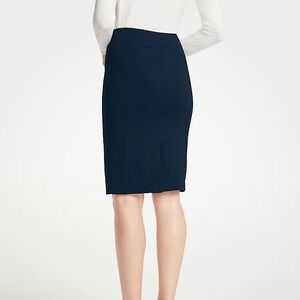 Ann Taylor NWT Pencil Skirt